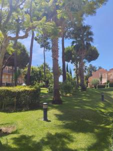 un parco con palme in erba di Apartamento luminoso y acogedor en Residencial Altavista Islantilla a Islantilla