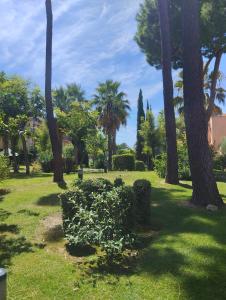 un parco con palme e piante in erba di Apartamento luminoso y acogedor en Residencial Altavista Islantilla a Islantilla