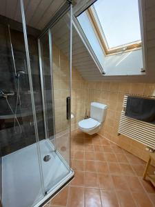 ein Bad mit einer Dusche, einem WC und einem Dachfenster in der Unterkunft B&B Domaine En Trembley in Commugny