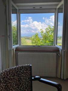 einem Leoparden-Druckstuhl vor einem Fenster in der Unterkunft B&B Domaine En Trembley in Commugny