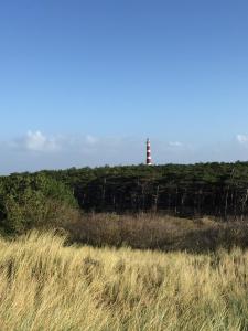 Naturlandskabet i nærheden af lejligheden