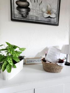 una mesa con dos plantas y un cuadro en la pared en Hof KuMa, en Uelzen