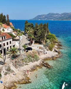 een luchtzicht op een strand met mensen in het water bij Apartments Jasmina in Korčula