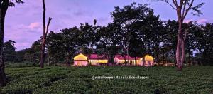 uma casa no meio de um campo com árvores em Grasshopper Acacia Eco Resort em Mādāri Hāt