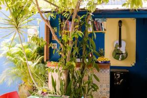 En hage utenfor "Vainilla B&B" - Stylish Comfort in Playa del Carmen