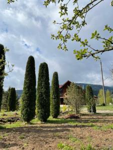 una fila di alberi di fronte a una casa di Садиба Карпат a Verkhovyna