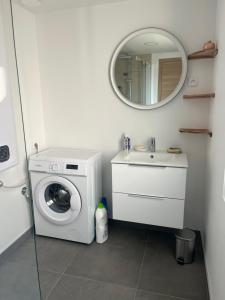 bagno con lavatrice e lavandino di Le petit nouveau avec Jardin a Pont-à-Mousson