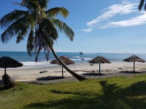 uma praia com uma palmeira e guarda-sóis e o oceano em MAHAMBO BEACH hôtel em Mahambo