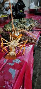 uma lagosta numa mesa rosa com alguma comida em MAHAMBO BEACH hôtel em Mahambo