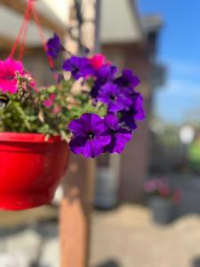 A garden outside B&B Het Gelders Buitenleven