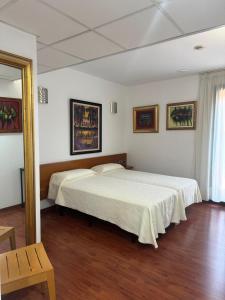 a bedroom with a large bed in a room at Hotel Plaza Inn in Figueres