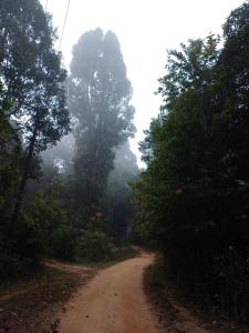 Lanskap alam di dekat rumah liburan