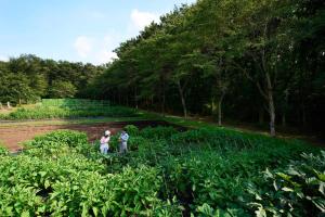 twee mensen in een veld van planten bij RISONARE Nasu in Nasu