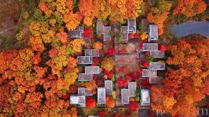 een uitzicht over een park met herfstbladeren bij RISONARE Nasu in Nasu