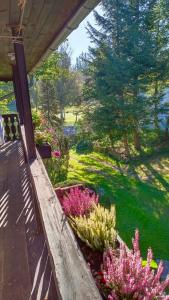 een tuin met bloemen op de veranda van een huis bij Chaloupka u Jiřího in Nová Pec