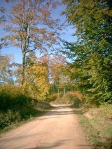 Gallery image of Landhotel Harz in Thale