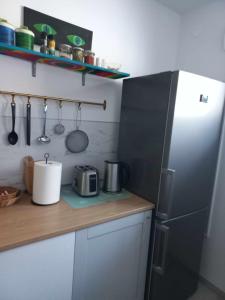 eine Küche mit einem Kühlschrank und einer Arbeitsplatte in der Unterkunft Apartma Vita in Izola