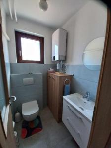 ein kleines Bad mit WC und Waschbecken in der Unterkunft Apartma Vita in Izola