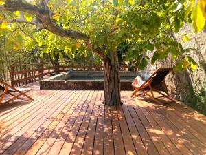 une femme assise dans un hamac sous un arbre dans l'établissement Ar da Beira, à Belmonte