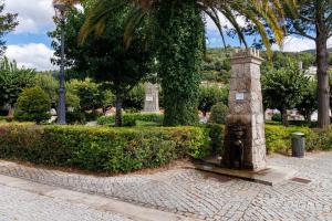 Un jardín fuera de Townhouse Seia - Comfort and style in the historic heart of Seia