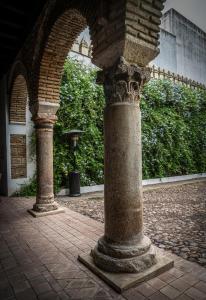 Palacio de los Angulo casa histórica en el centro de Córdoba के बाहर एक बगीचा