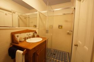 bagno con lavandino e doccia di The Carriages Boutique Hotel and Vineyard a Pokolbin