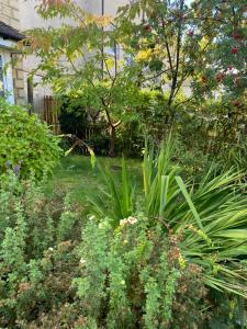 einen Garten mit Blumen und Pflanzen im Hof in der Unterkunft Caledonia House in Rosyth