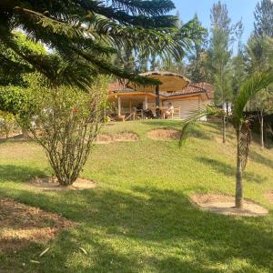 Um jardim em Ruhondo Beach Resort