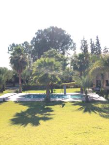 A garden outside Teacook Marrakech