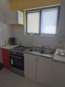 una cucina con lavandino e piano cottura di Apartment Vilma a Rovigno (Rovinj)