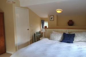 Llanbedr-y-cenninYr Hen Efail Cosy 1 bedroom Cottage, with fireplace and garden的一间卧室配有白色床和蓝色枕头