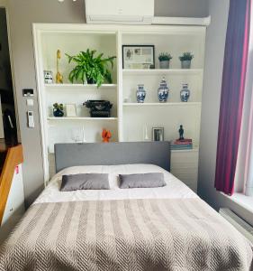 een slaapkamer met een bed en planken met planten bij B&B de Notaris in Assen