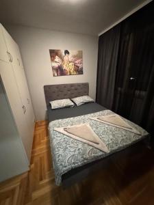 Kama o mga kama sa kuwarto sa Apartman S&V 2 Istocno Sarajevo Lukavica sa Jacuzzi Lux Spa Hilandarska Centar