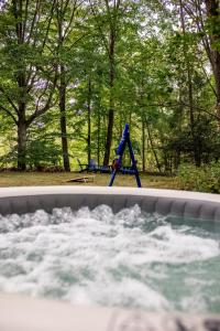 um parque infantil com um baloiço azul ao fundo em Unique! Retro 1950's wooded retreat near Indiana Dunes National Park em Chesterton