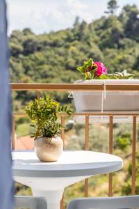 ระเบียงหรือลานระเบียงของ Ariadne Seaview Rooms - Skopelos Summer Getaways