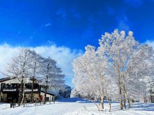 nozawasnow - Vacation STAY 86362v žiemą