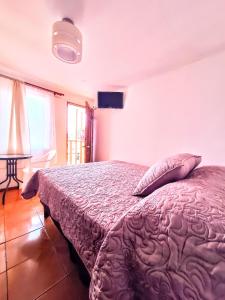 a bedroom with a bed with a purple comforter at Habitacion y Baño Privado in La Serena