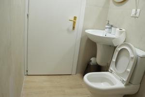 uma casa de banho com um WC com o assento para cima e um lavatório em Nest&Rest Studios em Tirana