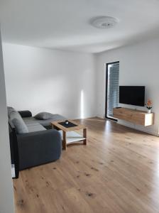 ein Wohnzimmer mit einem Sofa und einem Flachbild-TV in der Unterkunft B&D apartment in Maribor