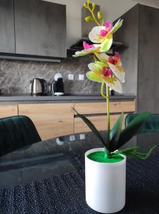 eine weiße Vase mit Blumen auf dem Tisch in der Küche in der Unterkunft B&D apartment in Maribor