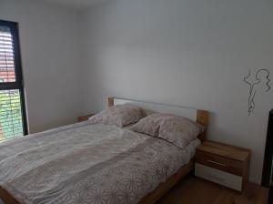 1 dormitorio con cama y ventana en B&D apartment, en Maribor