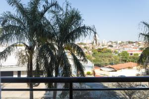 einen Balkon mit Blick auf eine Palme in der Unterkunft Golden Suíte Hotel in Campinas