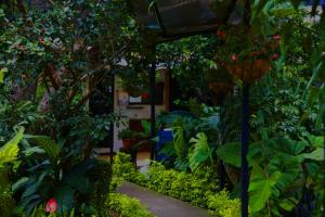 A garden outside Hostal Antigüeño