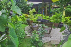 A garden outside Hostal Antigüeño