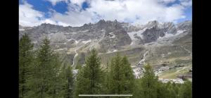 vista su una catena montuosa con alberi in primo piano di Cervinia Snow Dream Apartments a Breuil-Cervinia