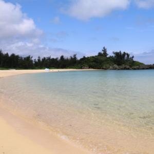 an empty beach with trees in the background at Scallop Beach Condominium in Onna