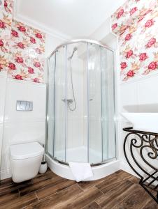 a bathroom with a shower and a toilet at Hotel POD HERBEM -POKOJE OZONOWANE in Białystok