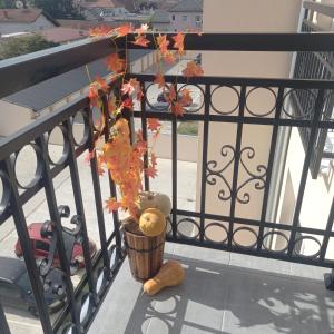 Balkon oz. terasa v nastanitvi Apartman Prodan