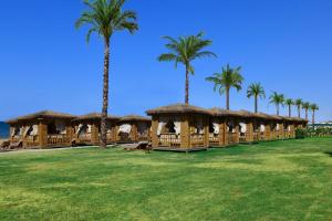 uma fileira de cabanas na praia com palmeiras em Ethno Belek em Belek