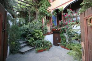 un jardin avec des plantes et des fleurs sur le côté d'un bâtiment dans l'établissement Hotel Alafrangite, à Plovdiv